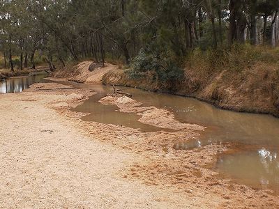 川岸を掘り起こすと温泉が湧いてくるのだ