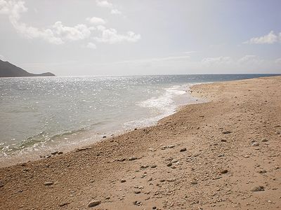 フィッツロイ島のサンゴのビーチ